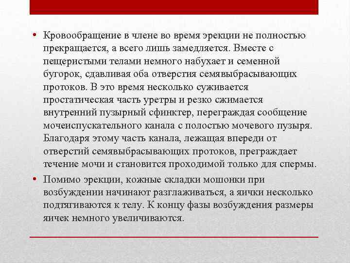  • Кровообращение в члене во время эрекции не полностью прекращается, а всего лишь