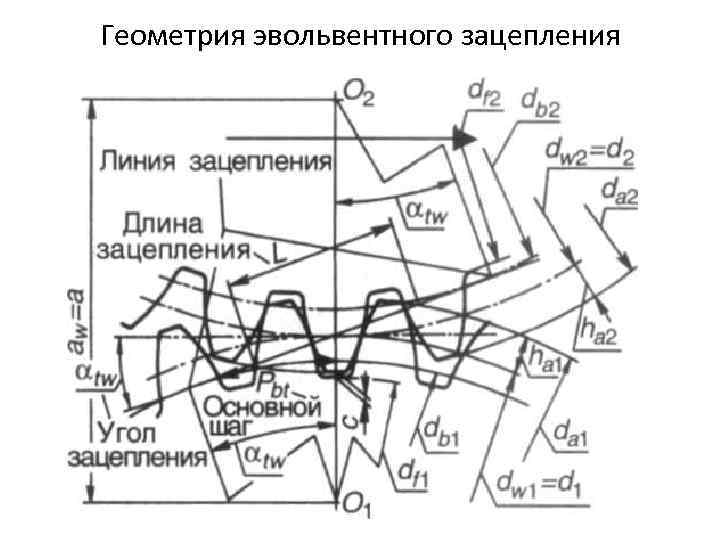 Геометрия эвольвентного зацепления 