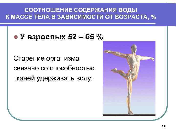 СООТНОШЕНИЕ СОДЕРЖАНИЯ ВОДЫ К МАССЕ ТЕЛА В ЗАВИСИМОСТИ ОТ ВОЗРАСТА, % l. У взрослых