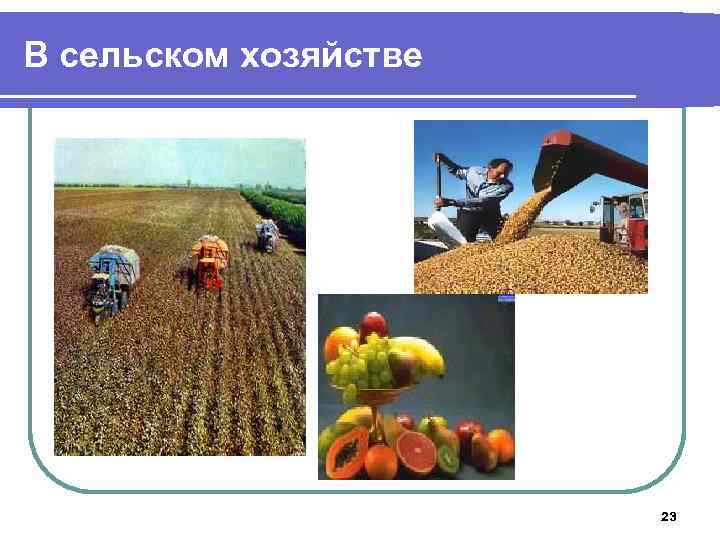В сельском хозяйстве 23 