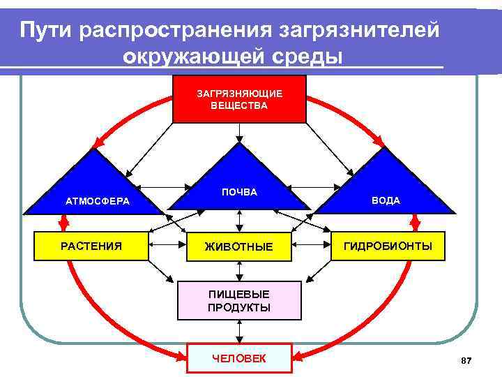 Модель окружает