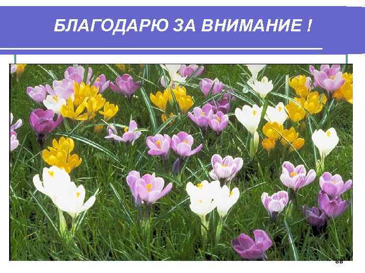 БЛАГОДАРЮ ЗА ВНИМАНИЕ ! 88 