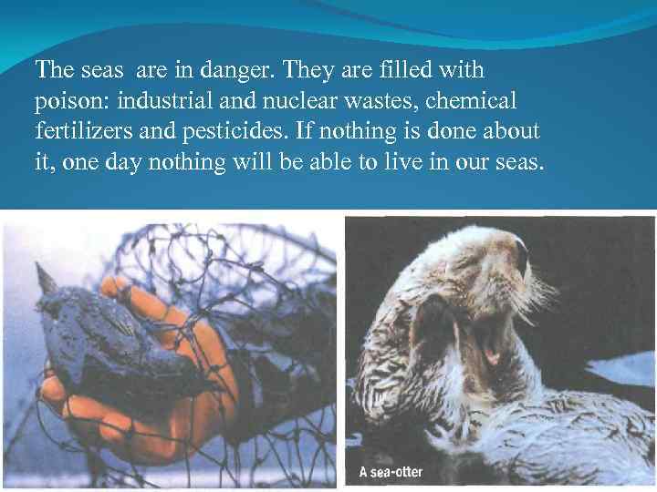 The seas are in danger. They are filled with poison: industrial and nuclear wastes,
