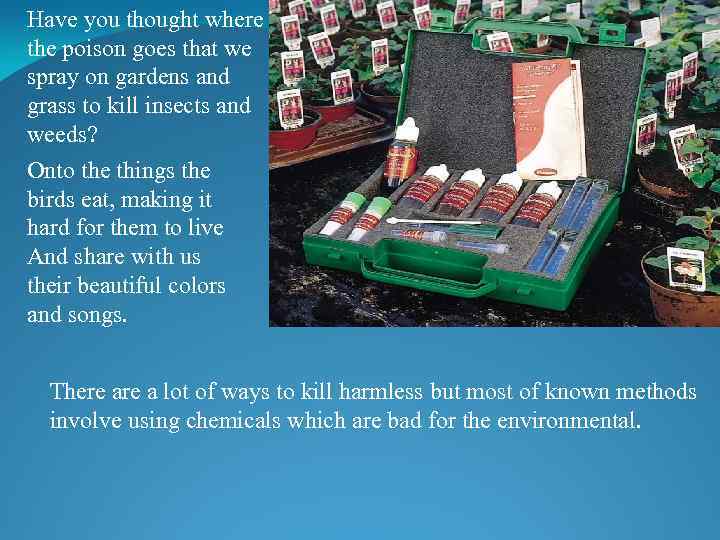 Have you thought where the poison goes that we spray on gardens and grass