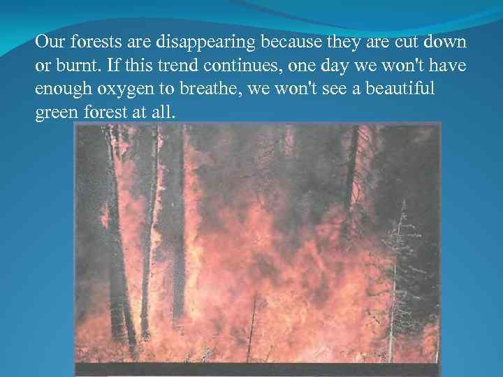 Our forests are disappearing because they are cut down or burnt. If this trend
