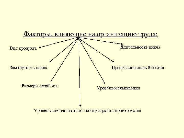 Цели организации труда