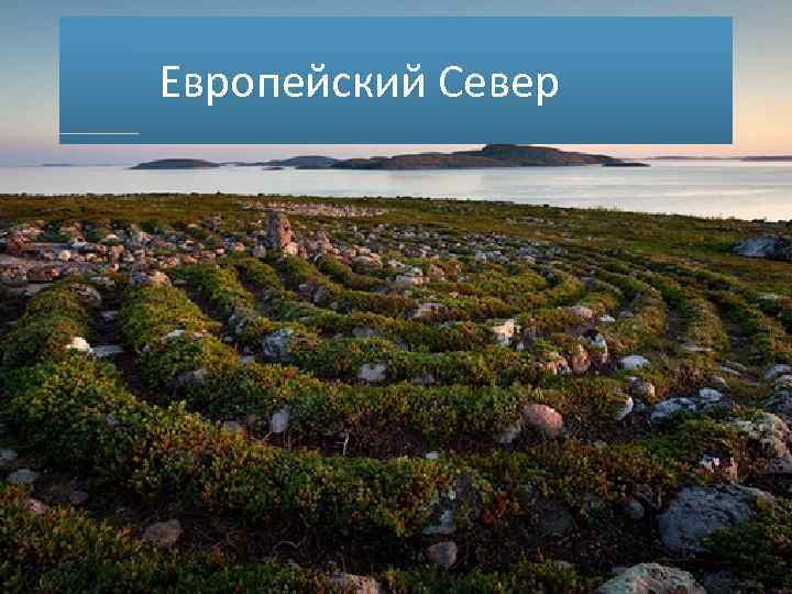 Фото по северу европейской части россии