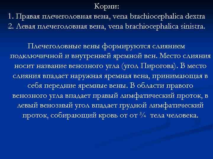 Корни: 1. Правая плечеголовная вена, vena brachiocephalica dextra 2. Левая плечеголовная вена, vena brachiocephalica