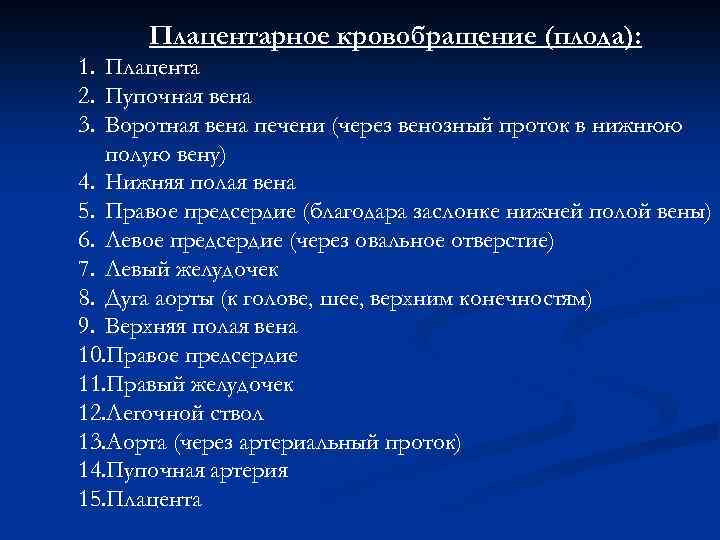 Плацентарное кровобращение (плода): 1. Плацента 2. Пупочная вена 3. Воротная вена печени (через венозный