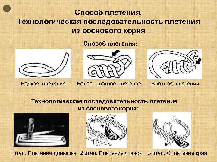Способ плетения. Технологическая последовательность плетения из соснового корня Способ плетения: Редкое плетение Более плотное