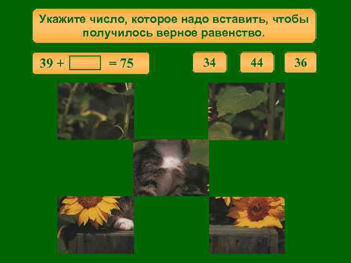 Укажите число, которое надо вставить, чтобы получилось верное равенство. 39 + = 75 34