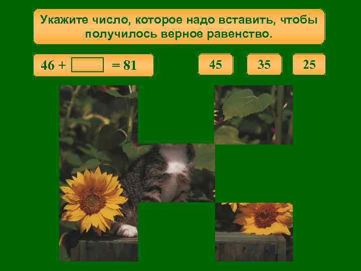 Укажите число, которое надо вставить, чтобы получилось верное равенство. 46 + = 81 45