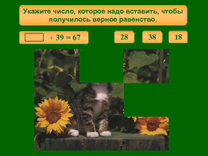 Укажите число, которое надо вставить, чтобы получилось верное равенство. + 39 = 67 28