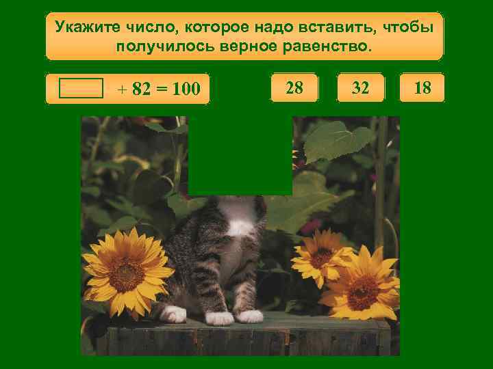 Укажите число, которое надо вставить, чтобы получилось верное равенство. + 82 = 100 28