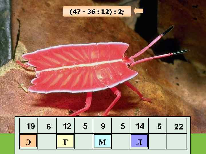 (47 - 36 : 12) : 2; 19 Э 6 12 Т 5 9
