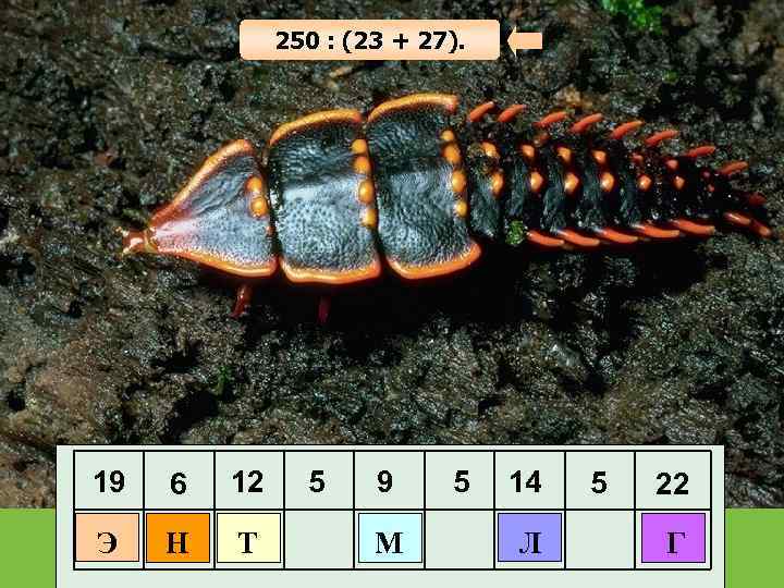 250 : (23 + 27). 19 6 12 Э Н Т 5 9 М