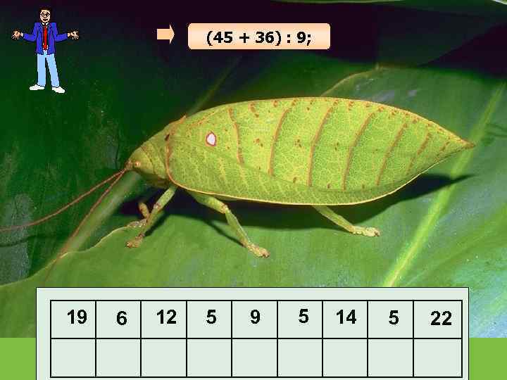 (45 + 36) : 9; 19 6 12 5 9 5 14 5 22