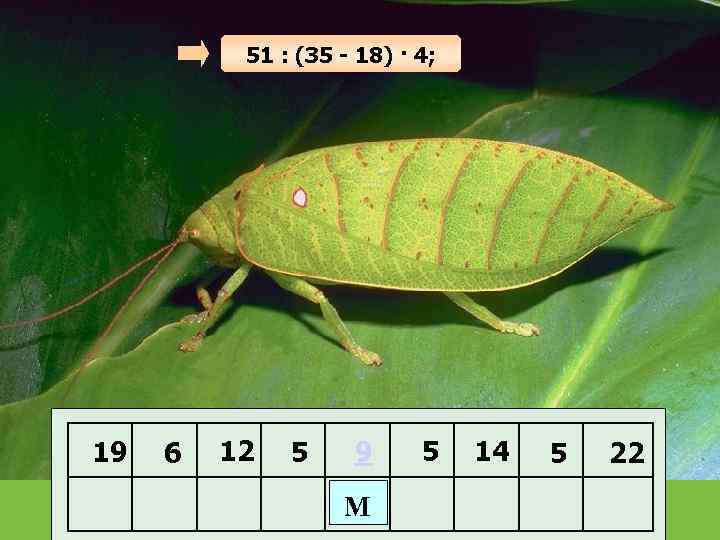 51 : (З 5 - 18) · 4; 19 6 12 5 9 М