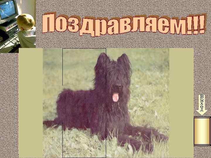 300 100 320 290 180 280 150 330 260 400 310 270 В ы