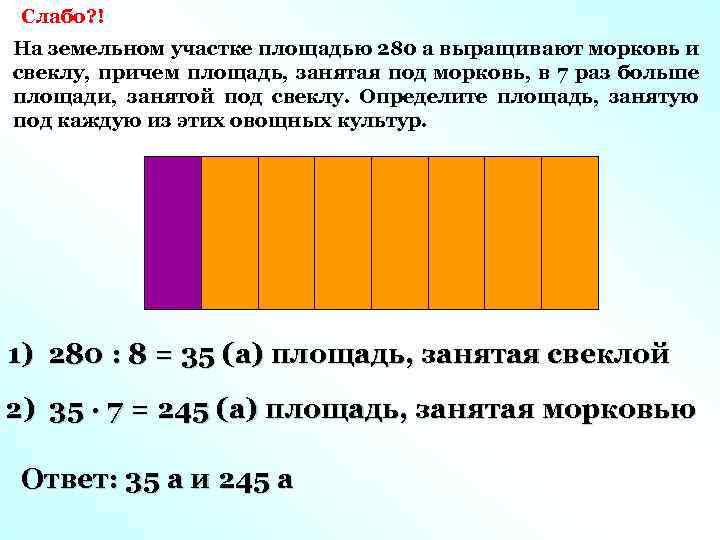 Слабо? ! На земельном участке площадью 280 а выращивают морковь и свеклу, причем площадь,