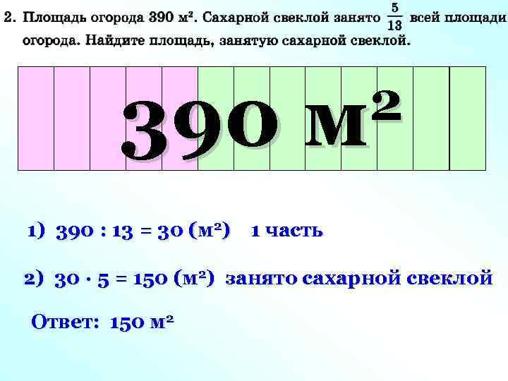 Площадь огорода