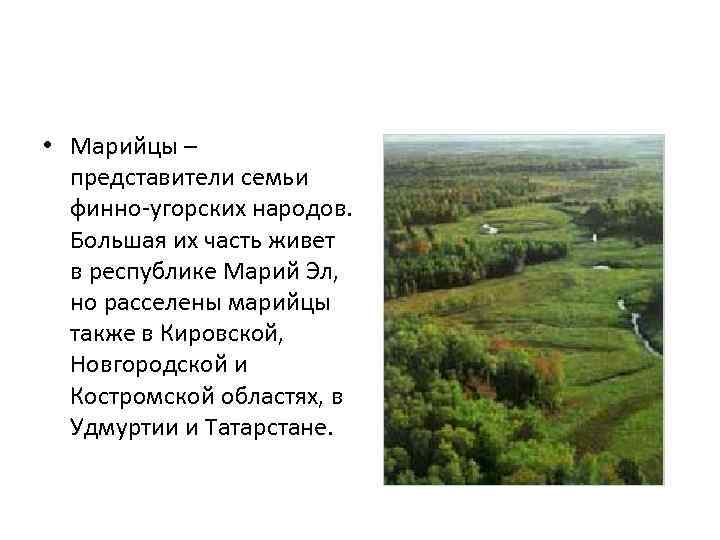 • Марийцы – представители семьи финно-угорских народов. Большая их часть живет в республике