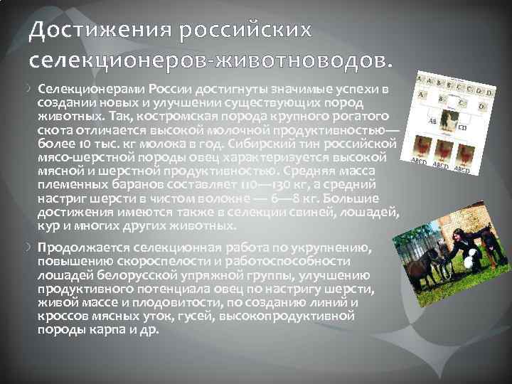 Достижения российских селекционеров-животноводов. Селекционерами России достигнуты значимые успехи в создании новых и улучшении существующих