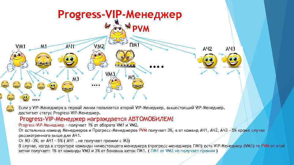 Progress-VIP-Менеджер PVМ VМ 1 АЧ 1 М 3 ПМ 1 VМ 2 VM 3