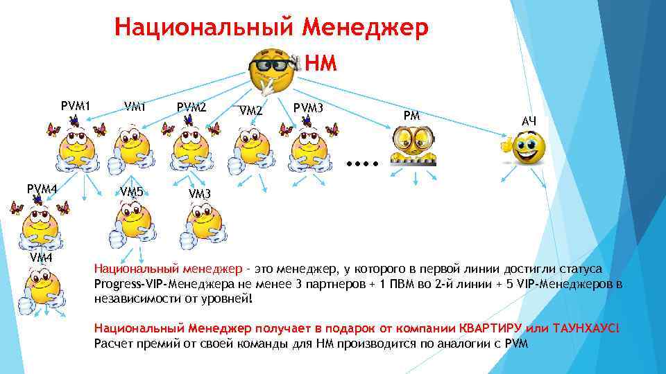 Национальный Менеджер НМ PVM 1 РVM 2 РVM 3 PM АЧ …. РVM 4