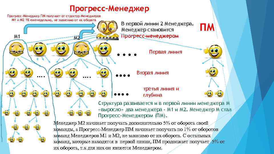 Мерин хелс маркетинг план