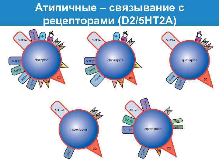 Атипичные – связывание с рецепторами (D 2/5 HT 2 A) 