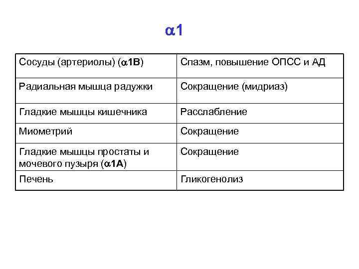  1 Сосуды (артериолы) ( 1 В) Спазм, повышение ОПСС и АД Радиальная мышца