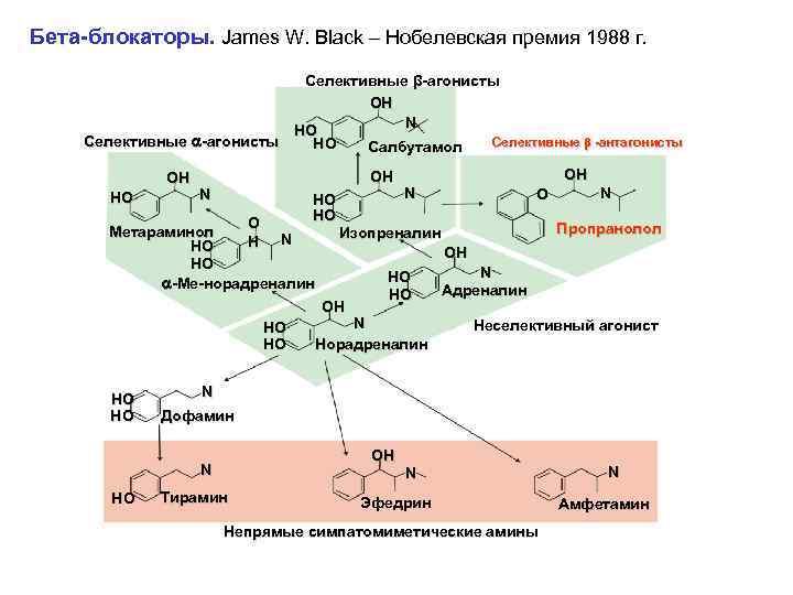 Бета-блокаторы. James W. Black – Нобелевская премия 1988 г. Селективные β-агонисты OH N HO