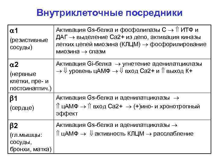 Внутриклеточные посредники 1 (резистивные сосуды) 2 (нервные клетки, пре- и постсинаптич. ) 1 (сердце)