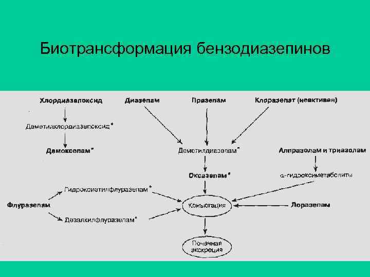 Биотрансформация бензодиазепинов 