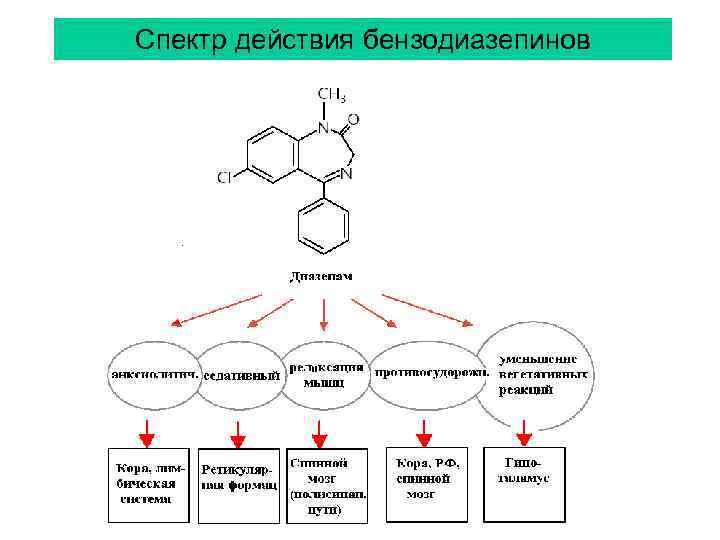Спектр действия бензодиазепинов 