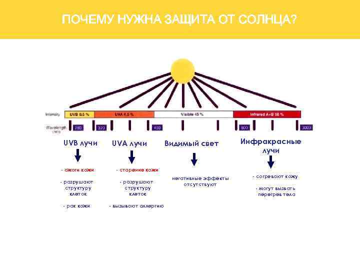 Какое действие оказывают uvb лучи