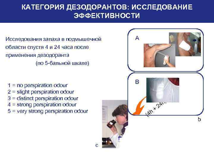 КАТЕГОРИЯ ДЕЗОДОРАНТОВ: ИССЛЕДОВАНИЕ ЭФФЕКТИВНОСТИ Исследования запаха в подмышечной А области спустя 4 и 24