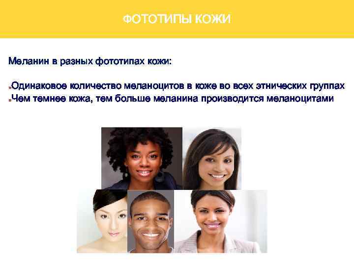 ФОТОТИПЫ КОЖИ Меланин в разных фототипах кожи: Одинаковое количество меланоцитов в коже во всех
