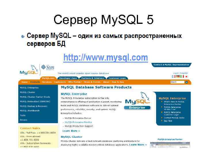 Сервер My. SQL 5 