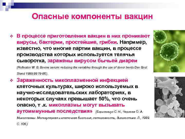 Опасные компоненты вакцин v В процессе приготовления вакцин в них проникают вирусы, бактерии, простейшие,