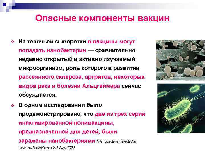 Опасные компоненты вакцин v Из телячьей сыворотки в вакцины могут попадать нанобактерии — сравнительно