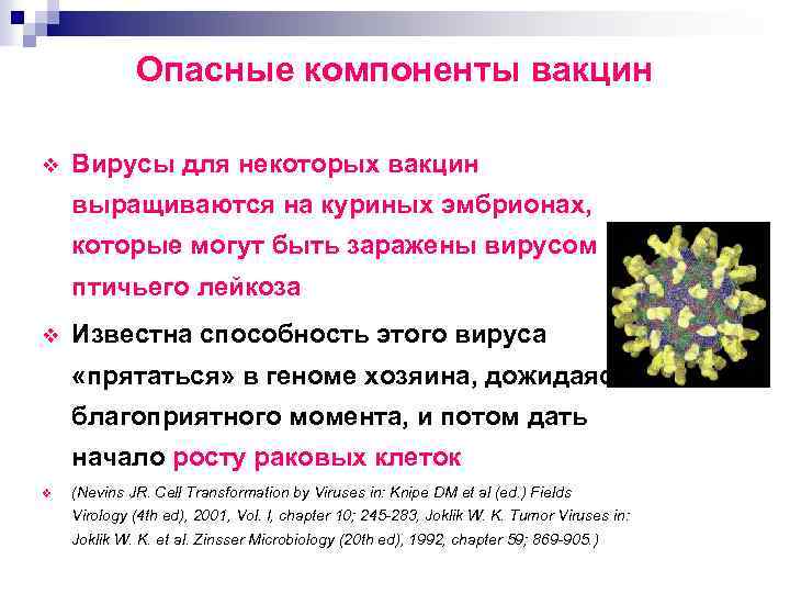 Опасные компоненты вакцин v Вирусы для некоторых вакцин выращиваются на куриных эмбрионах, которые могут