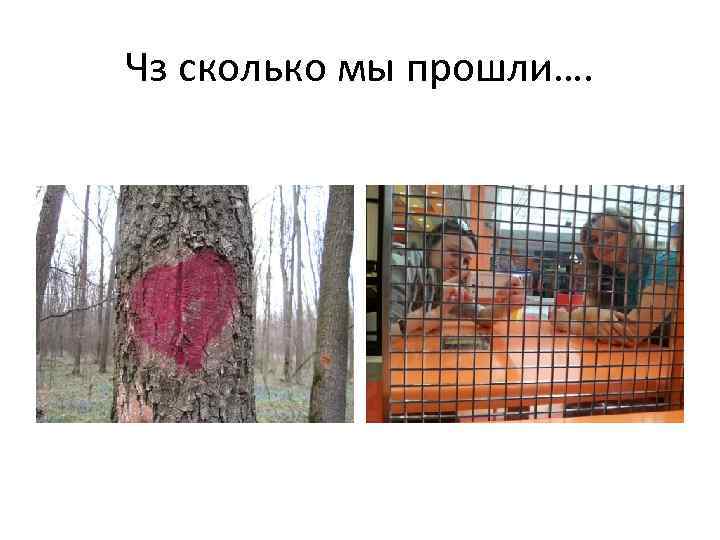 Чз сколько мы прошли…. 