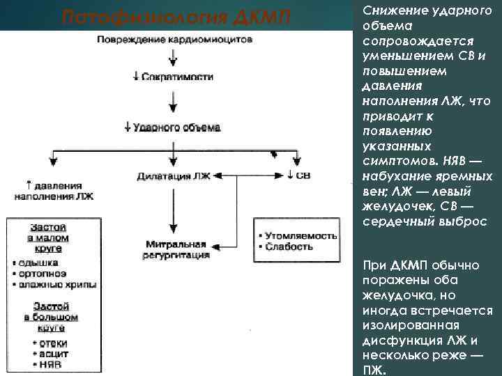 Патофизиология ДКМП Снижение ударного объема сопровождается уменьшением СВ и повышением давления наполнения ЛЖ, что