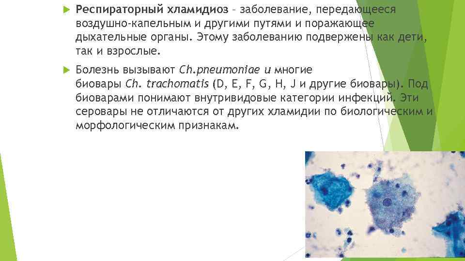  Респираторный хламидиоз – заболевание, передающееся воздушно-капельным и другими путями и поражающее дыхательные органы.