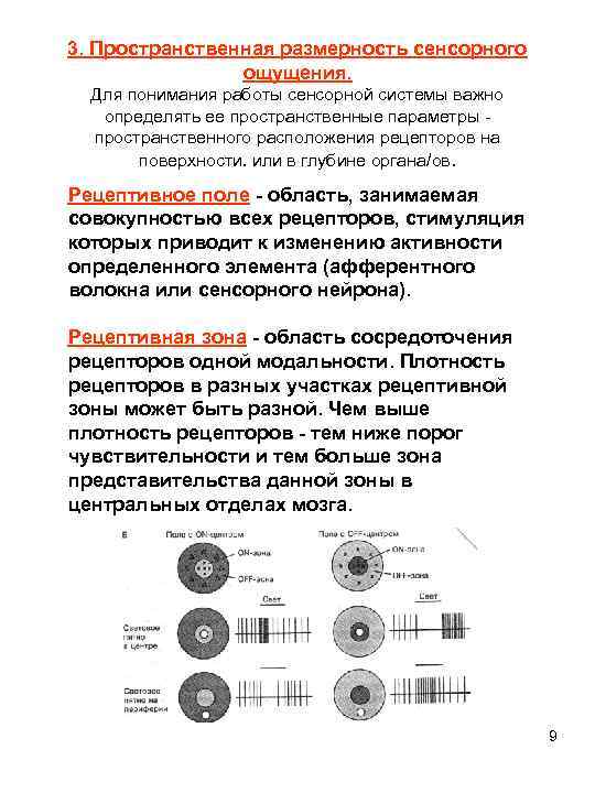 3. Пространственная размерность сенсорного ощущения. Для понимания работы сенсорной системы важно определять ее пространственные