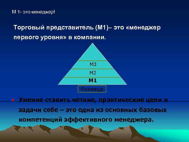 М 1 - это менеджер! Торговый представитель (М 1)– это «менеджер первого уровня» в