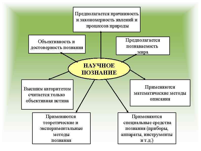 Предполагается причинность и закономерность явлений и процессов природы Объективность и достоверность познания Предполагается познаваемость