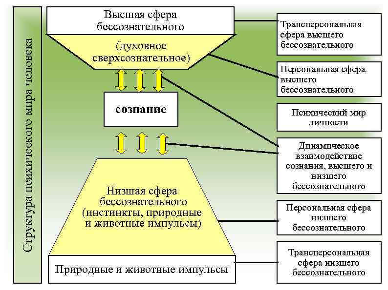 Структура психического мира человека Высшая сфера бессознательного (духовное сверхсознательное) сознание Низшая сфера бессознательного (инстинкты,